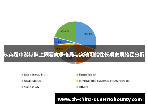 从英超中游球队上限看竞争格局与突破可能性长期发展路径分析 从英超中游球队上限看竞争格局与突破可能性长期发展路径分析